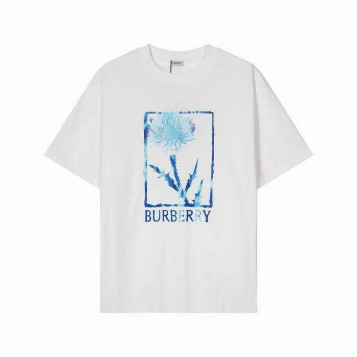 Picture of Burberry T Shirts Short _SKUBurberryS-XLdjtx0319597